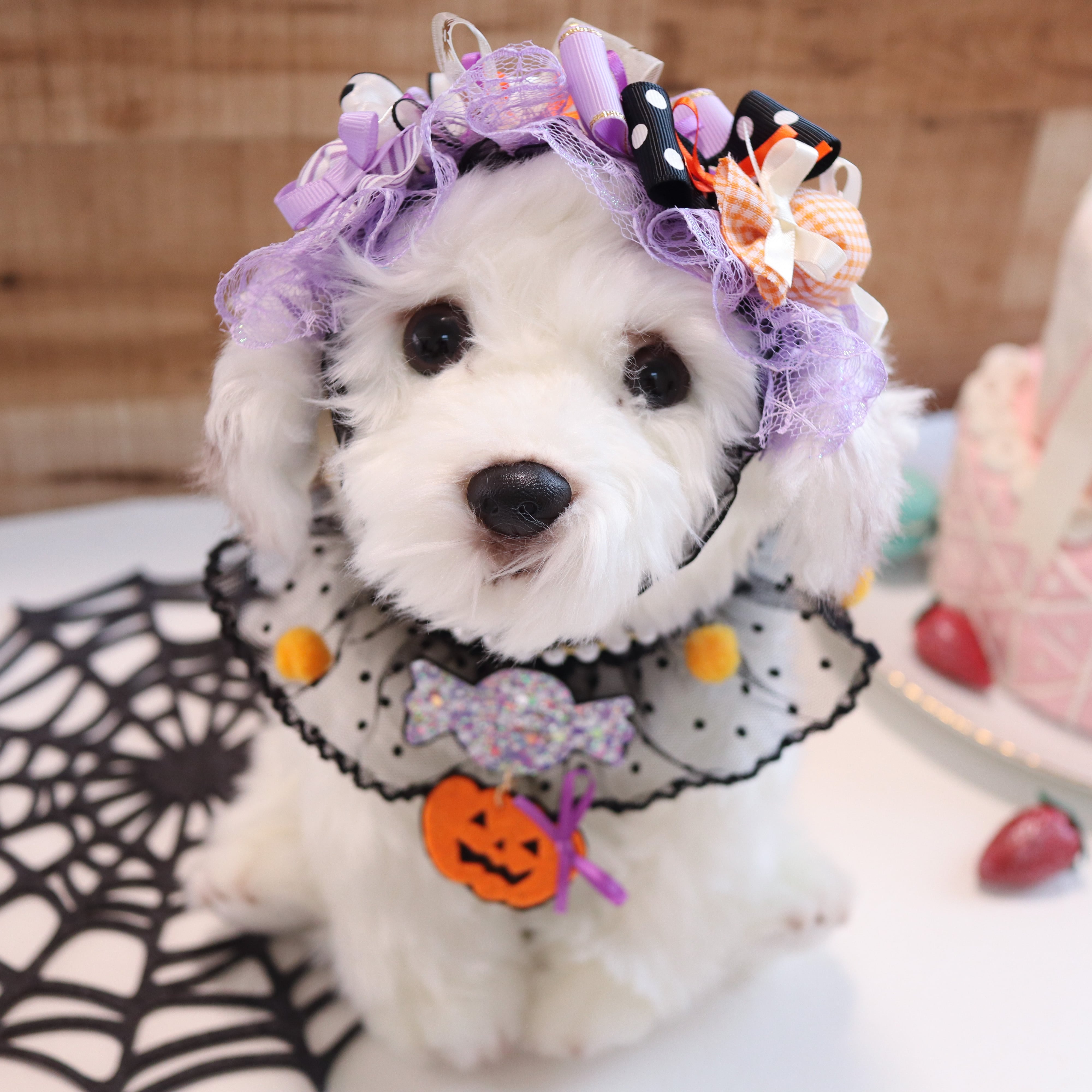 のえたん❣️ハロウィン❣️ハンドメイド　犬服❣️