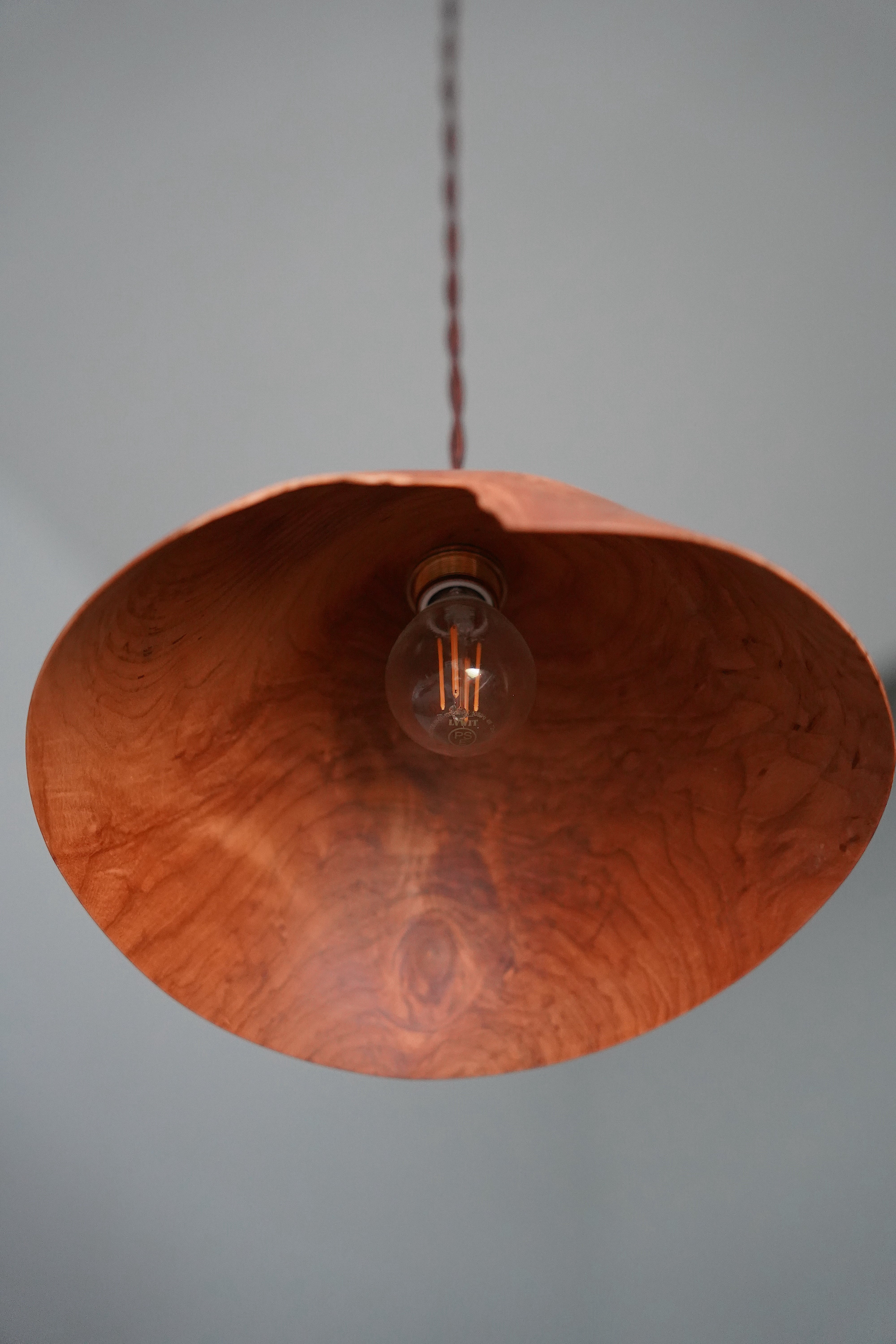 安藤萌 サクラの木 ランプシェード | DE OJAL omomuki