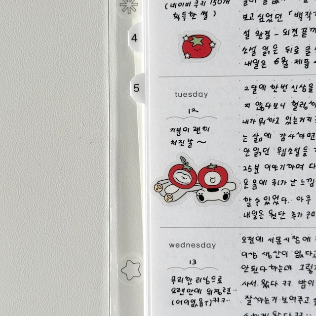 ★新作予約 papeterie.atelier 〔PAPE x tomato〕