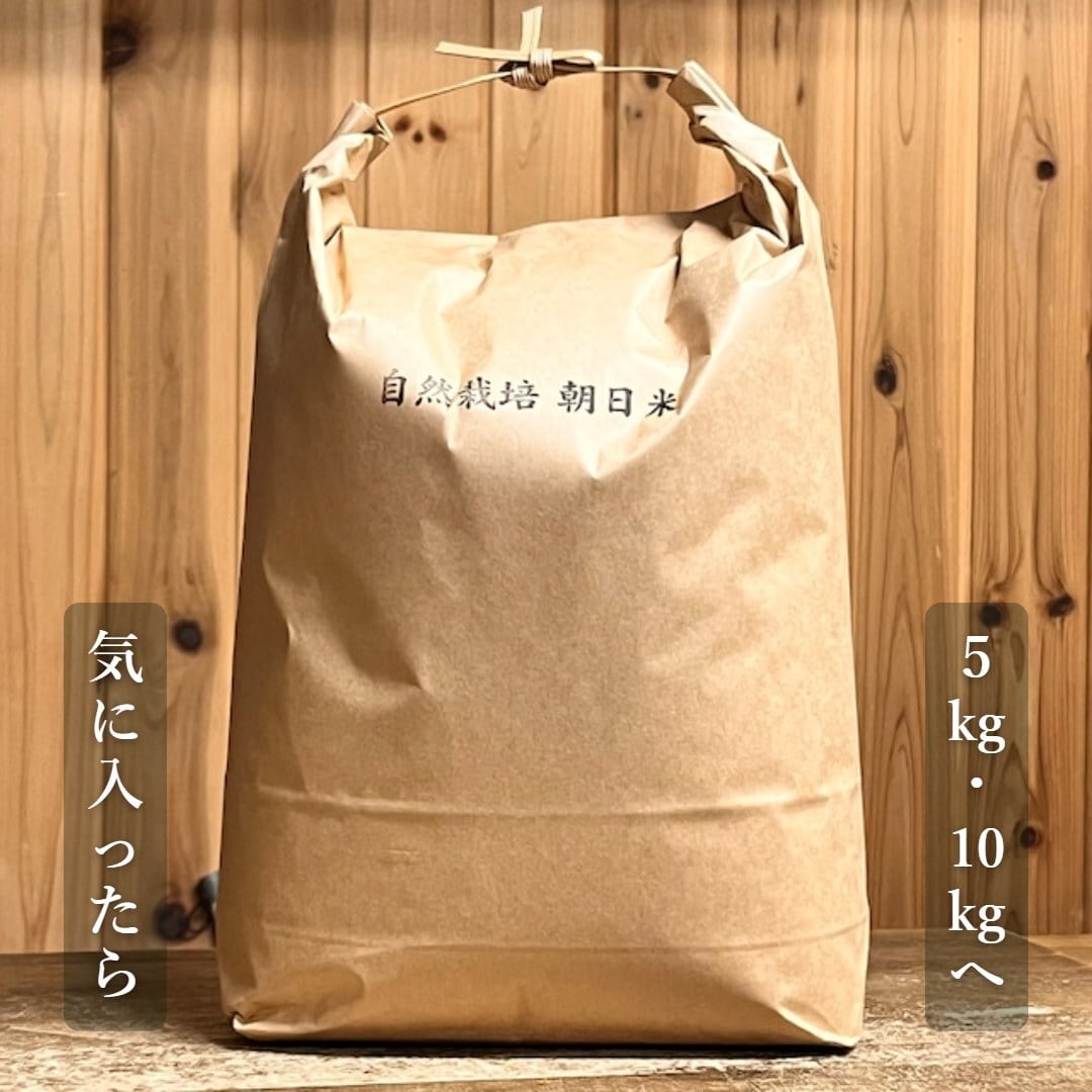 自然栽培 朝日米 3kg｜無農薬｜玄米・分づき米・白米｜岡山県倉敷産