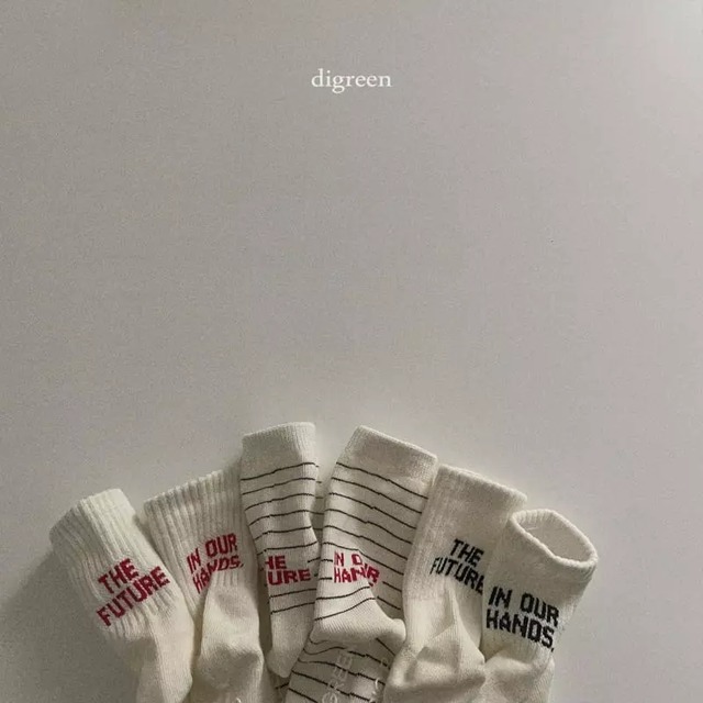 【予約】future socks 3set / digreen