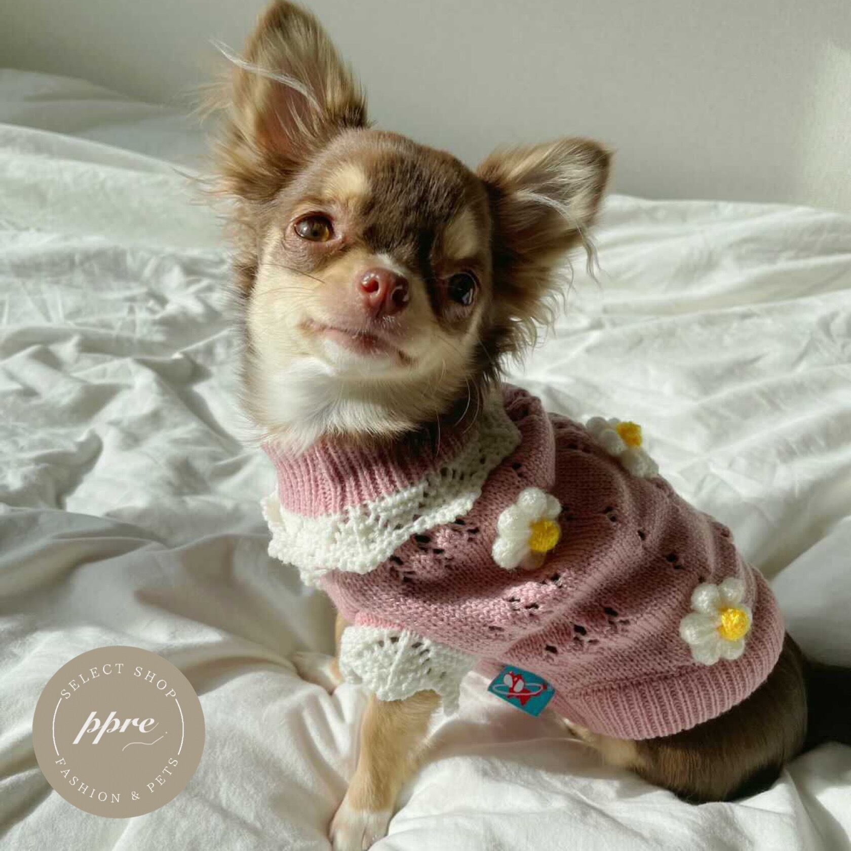 犬服 穴開きフリル風ニット