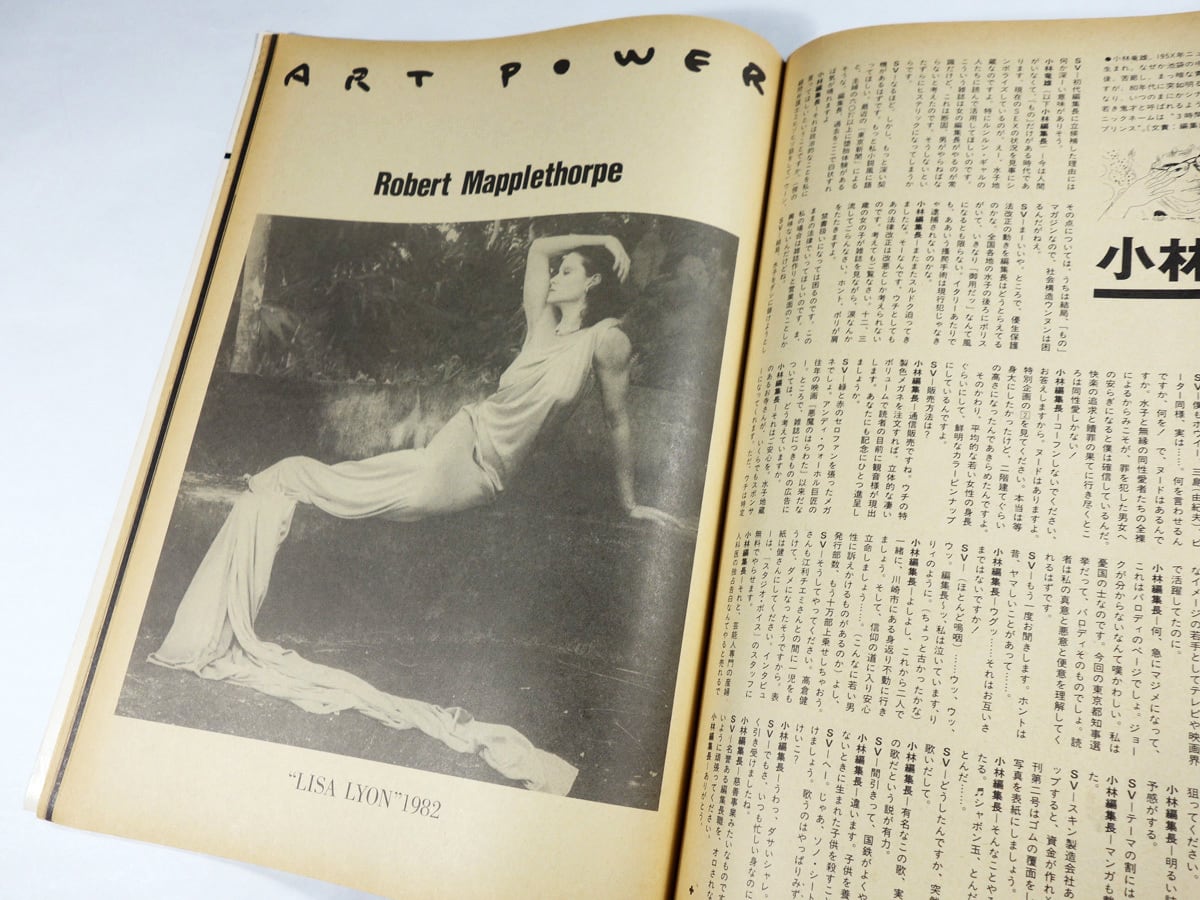 スタジオ・ボイス「林真理子、ツイッギーほか」- 1983年6月号