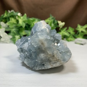 5.空色セレスタイトに住み着いているフローライトハリネズミさん