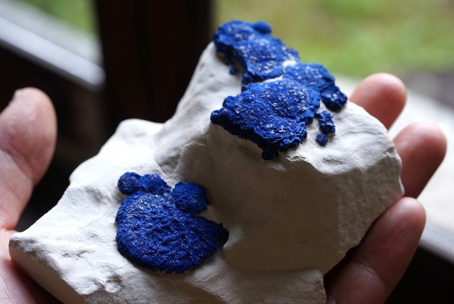 アズライト・サン Azurite Sun ②