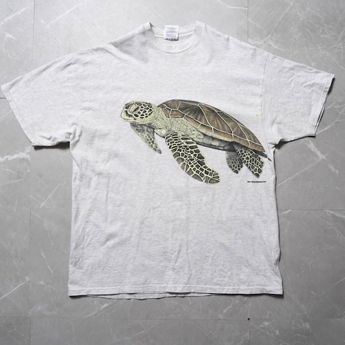 Hanes XLサイズ グレー ヘインズ プリントTシャツ タートル 亀 Hanes XLサイズ グレー ヘインズ プリントTシャツ タートル 亀