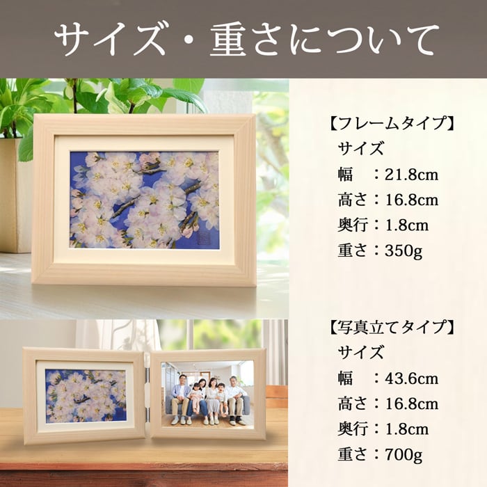 本物のお花の押し花アート｜桜（ソメイヨシノ）フレームギフト | 庄村