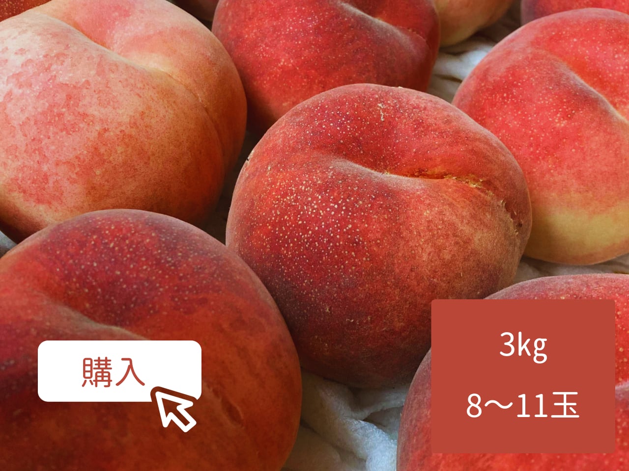 もも【さくら白桃】3kg箱 8~11玉