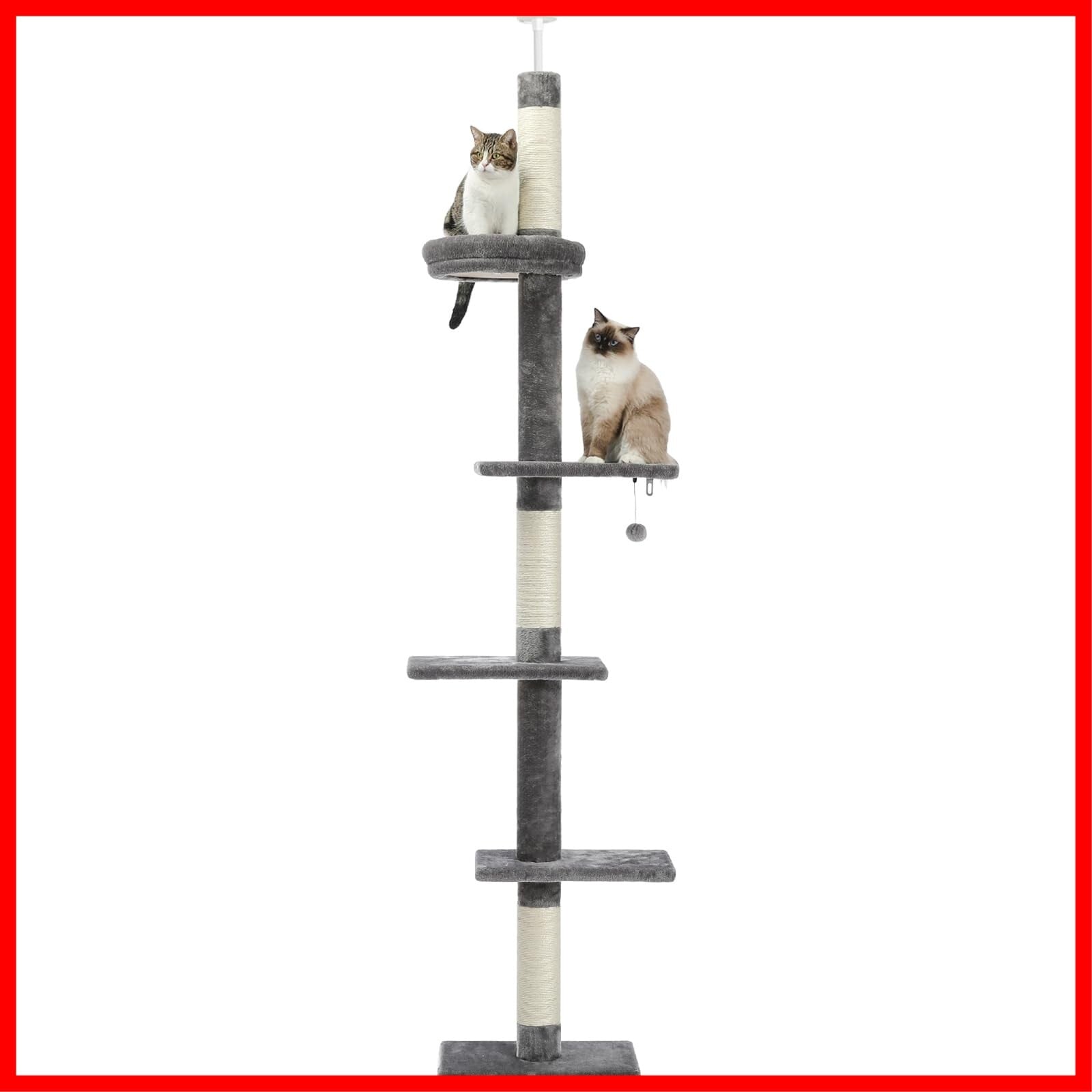 Amazon | PETEPELA(ぺテぺラ) キャットタワー 大型猫用 コンパクト