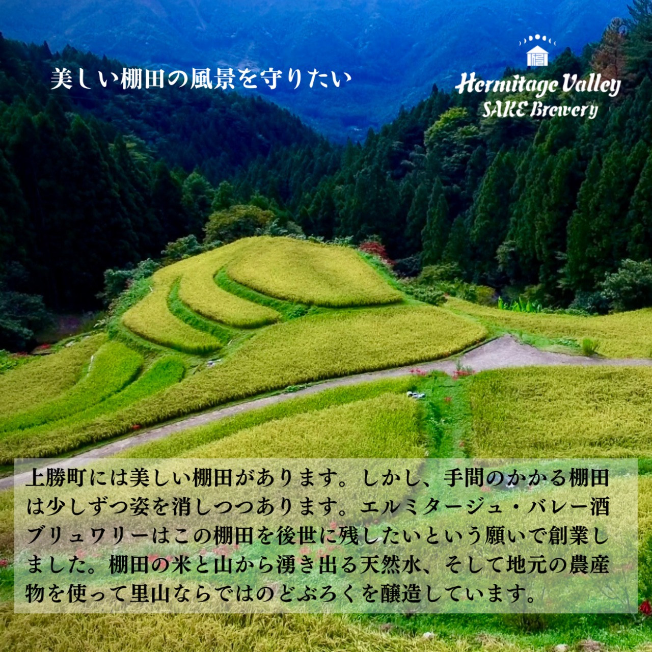 【のしが選べる お歳暮ギフト】どぶろく３本セット（どぶろく庵仁、すだちの里、ゆずの山）