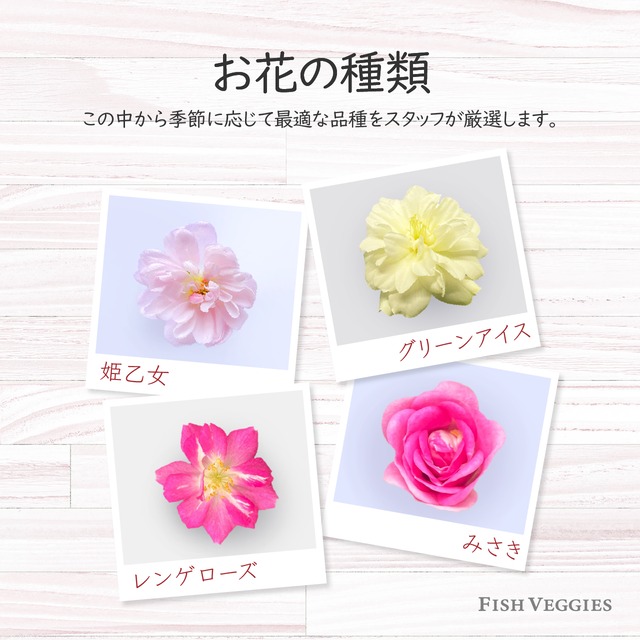 【FISH VEGGIES】エディブルローズ【小輪】20輪　化学肥料/化学農薬不使用だから安心して食べられる