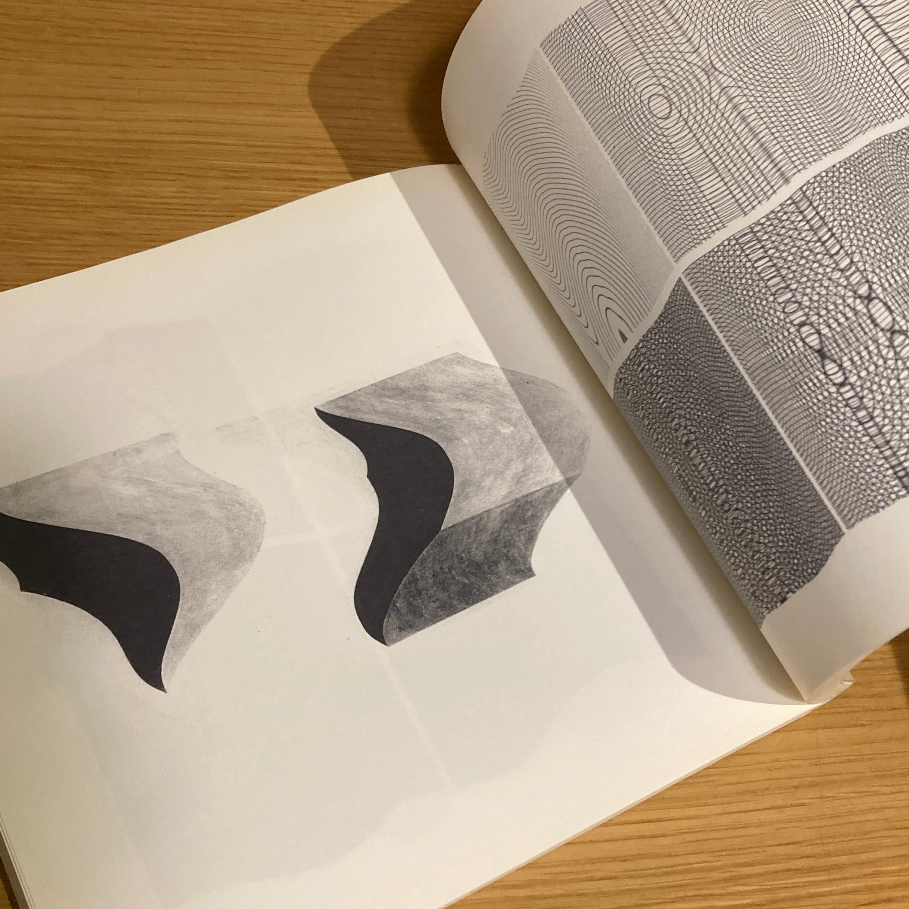 On Sol Lewitt: extended experiments on perception & representation