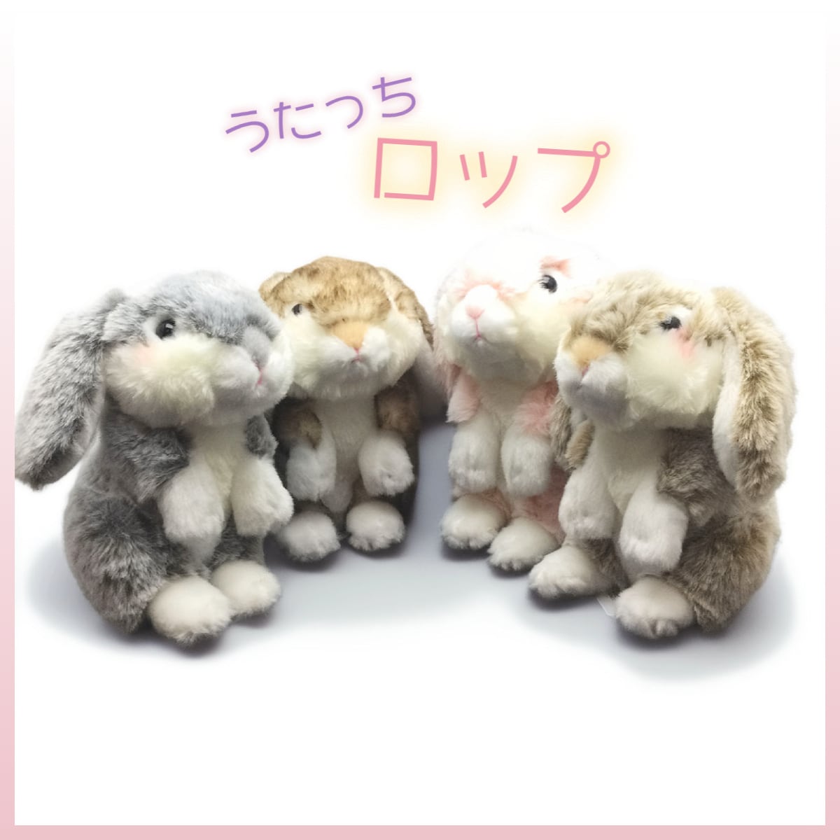 ふわふわうさぎぬいぐるみ うたっち ロップ | うさぎセレクトショップ森音