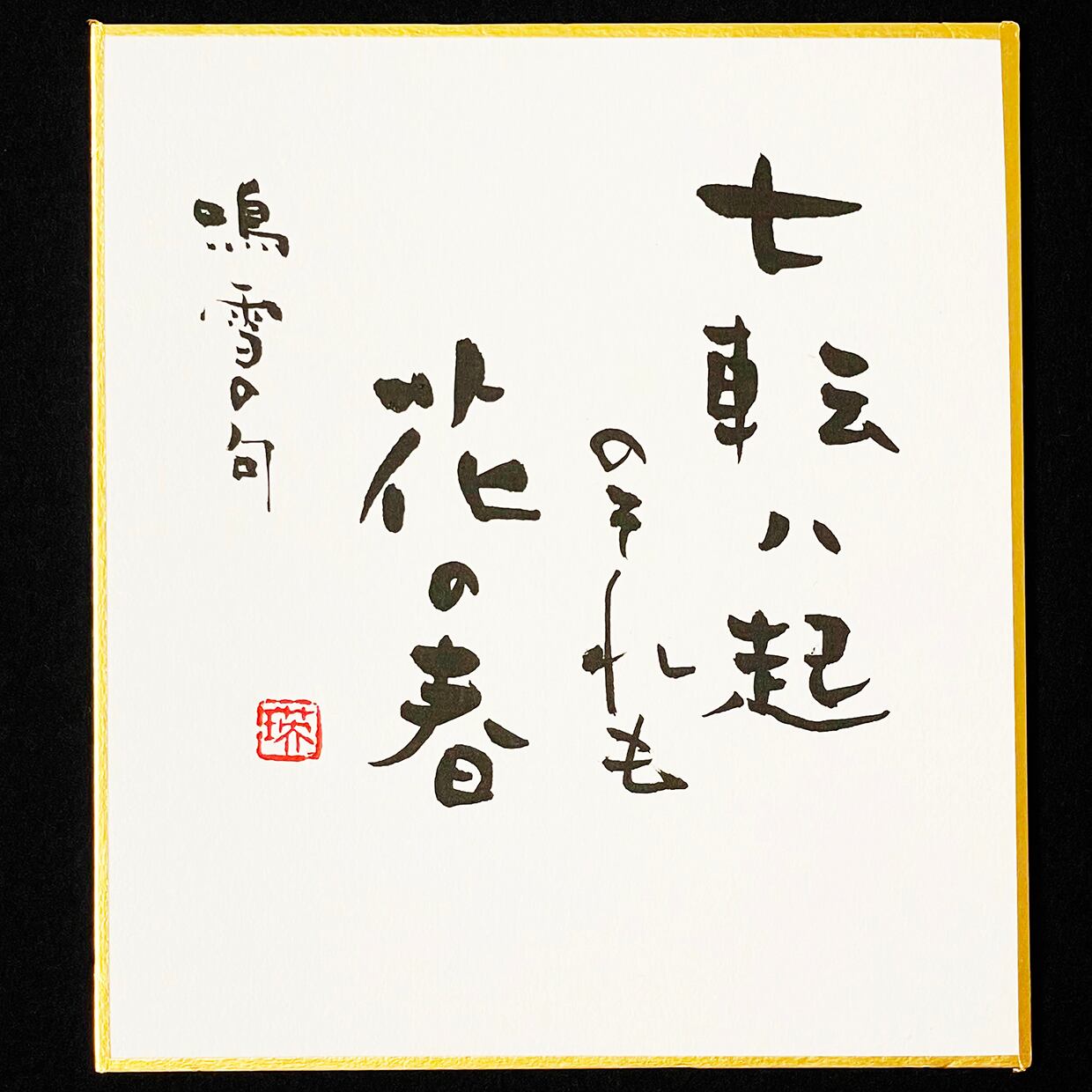 寸松庵色紙「七転八起・・・」筆文字＆水引－プレゼント・お誕生日 