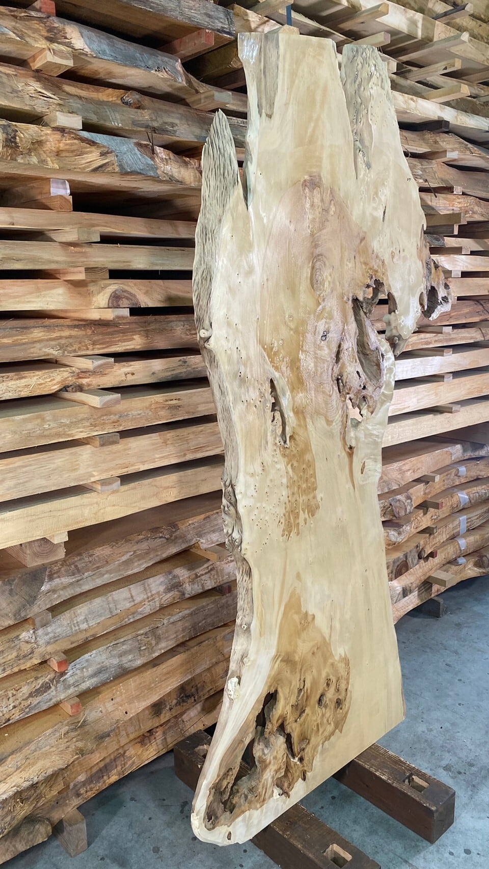 銀杏 07 一枚板 両面フラット加工済！ 棚板 カウンター レジン 瘤