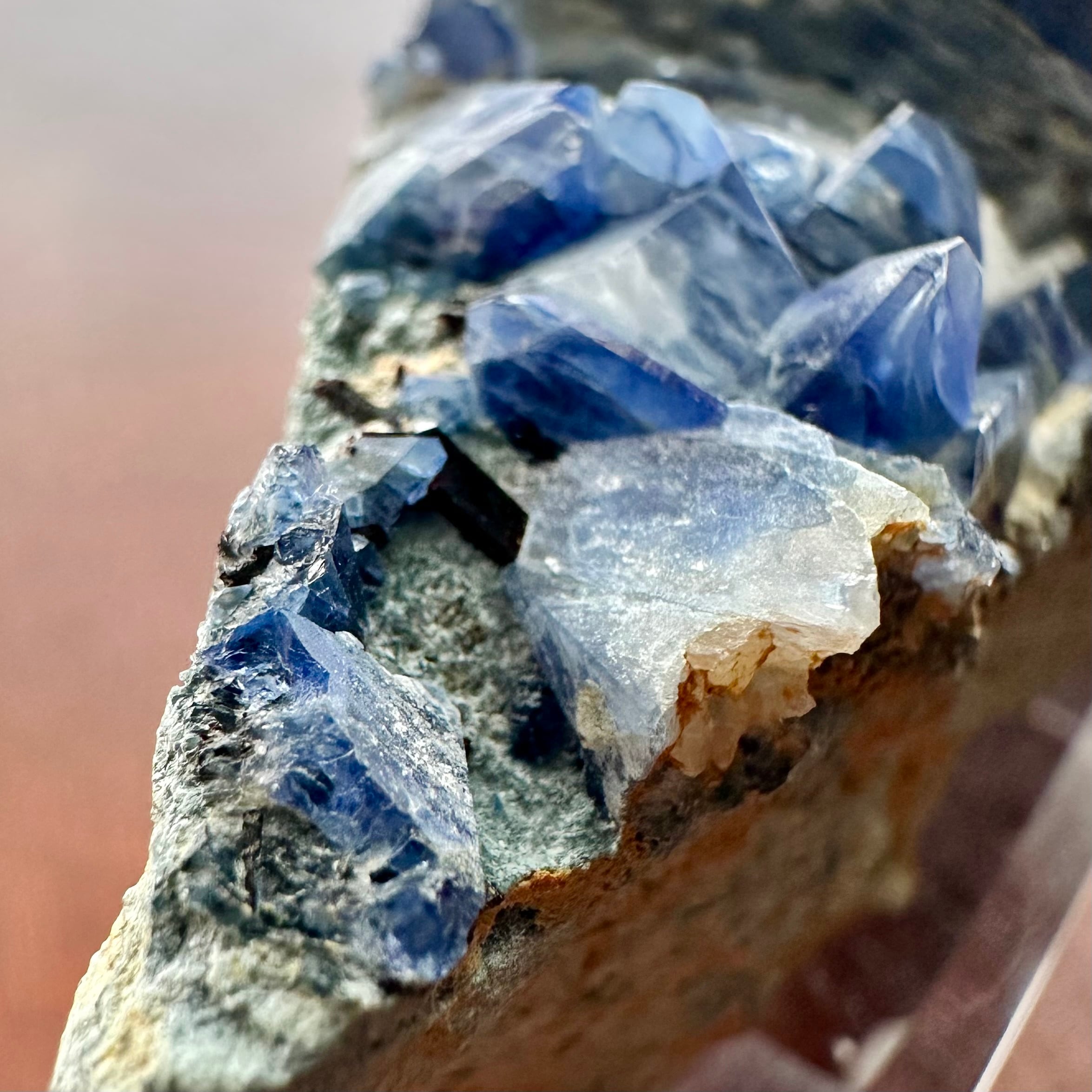 ベニトアイト / ネプチュナイト【Benitoite with Neptunite】アメリカ