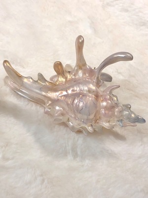 マーメイドヘアクリップ　貝型ヘアクリップ