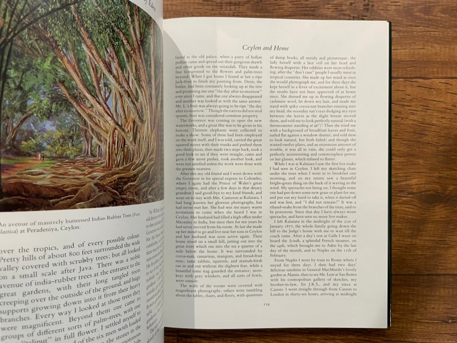 VN040】A Vision of Eden: Life and Works of Marianne North /visual