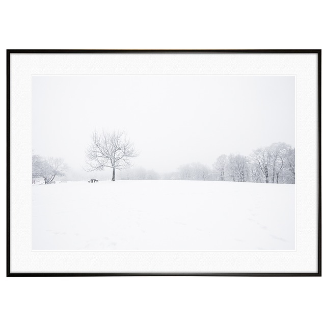 冬写真 インテリアアートポスター額装 AS1089