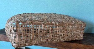 トウツルモドキのバック