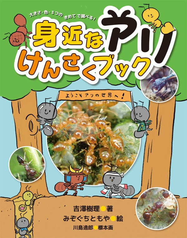 身近なアリけんさくブック | あり巣 in underground（蟻の総合店,飼育