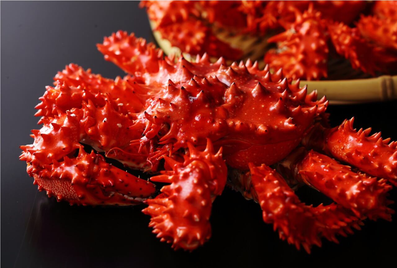 幻のカニ花咲カニ 500g 2 食福物産展 Recommended By Saguwa