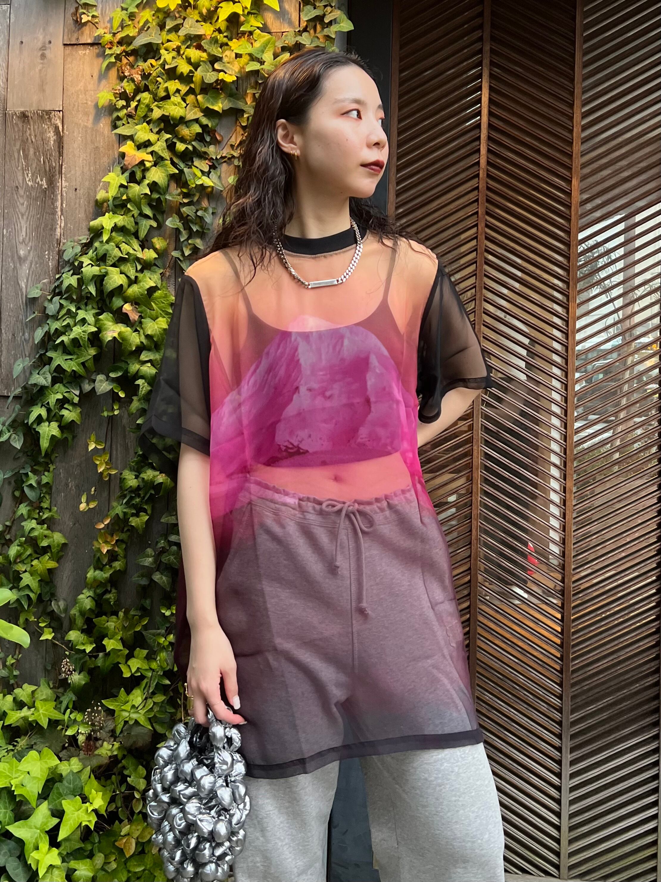 NONTOKYO ノントーキョー sheer print t-shirts