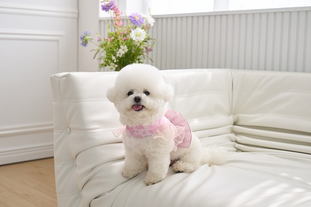 Blossom Shinee Harness(Pink)