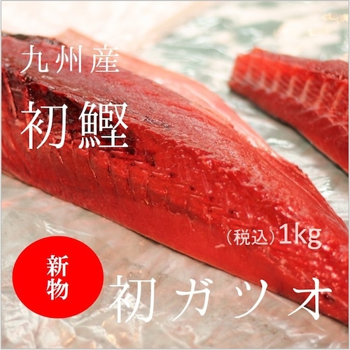 生 初鰹 カツオ 四分一 約1-1.5kg（豊洲直送）九州・千葉産 他 豊洲直送 鮮魚【カツオ四分一】 冷蔵