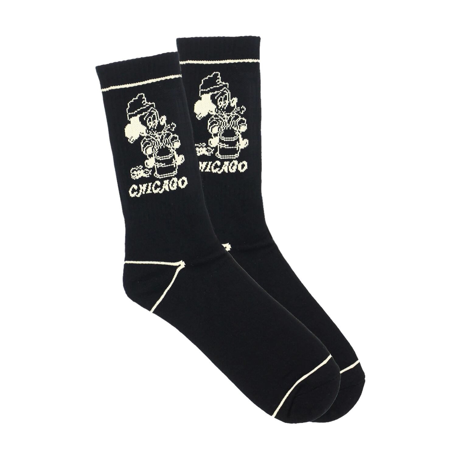 Snack Skateboards【SEEIN THE SIGHTS CHICAGO SOCKS】