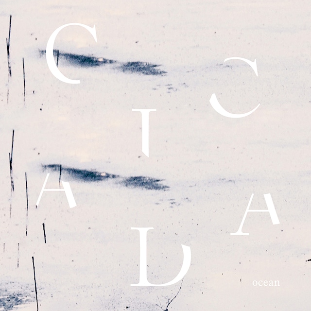 【CD】Cicada - Ocean（flau）