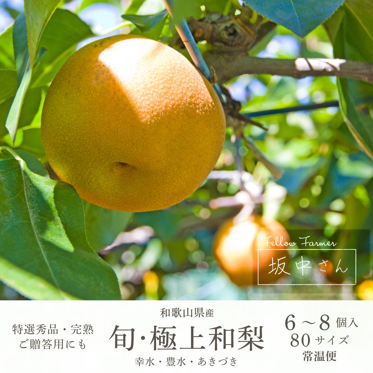 季節のフルーツ | きよ農園 | 和歌山県より旬の果物を産直でお届けします
