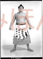 昭和３４年９月場所優勝　横綱　若乃花幹士関（７回目の優勝）