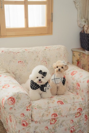 予約【pecoramou select】Tweed check cape（Black）