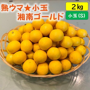 送料無料　熟ウマ☆小玉・湘南ゴールド（Sサイズ）２ｋｇ