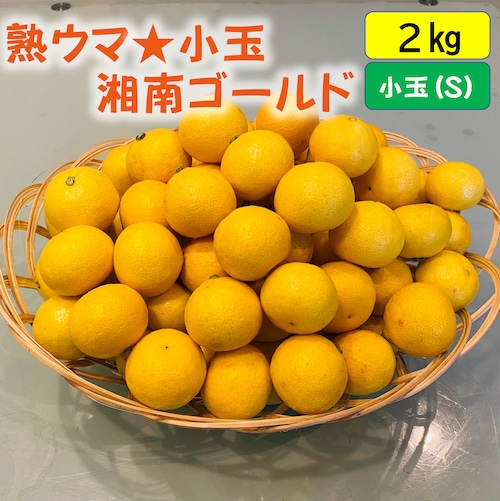 送料無料　熟ウマ☆小玉・湘南ゴールド（Sサイズ）２ｋｇ