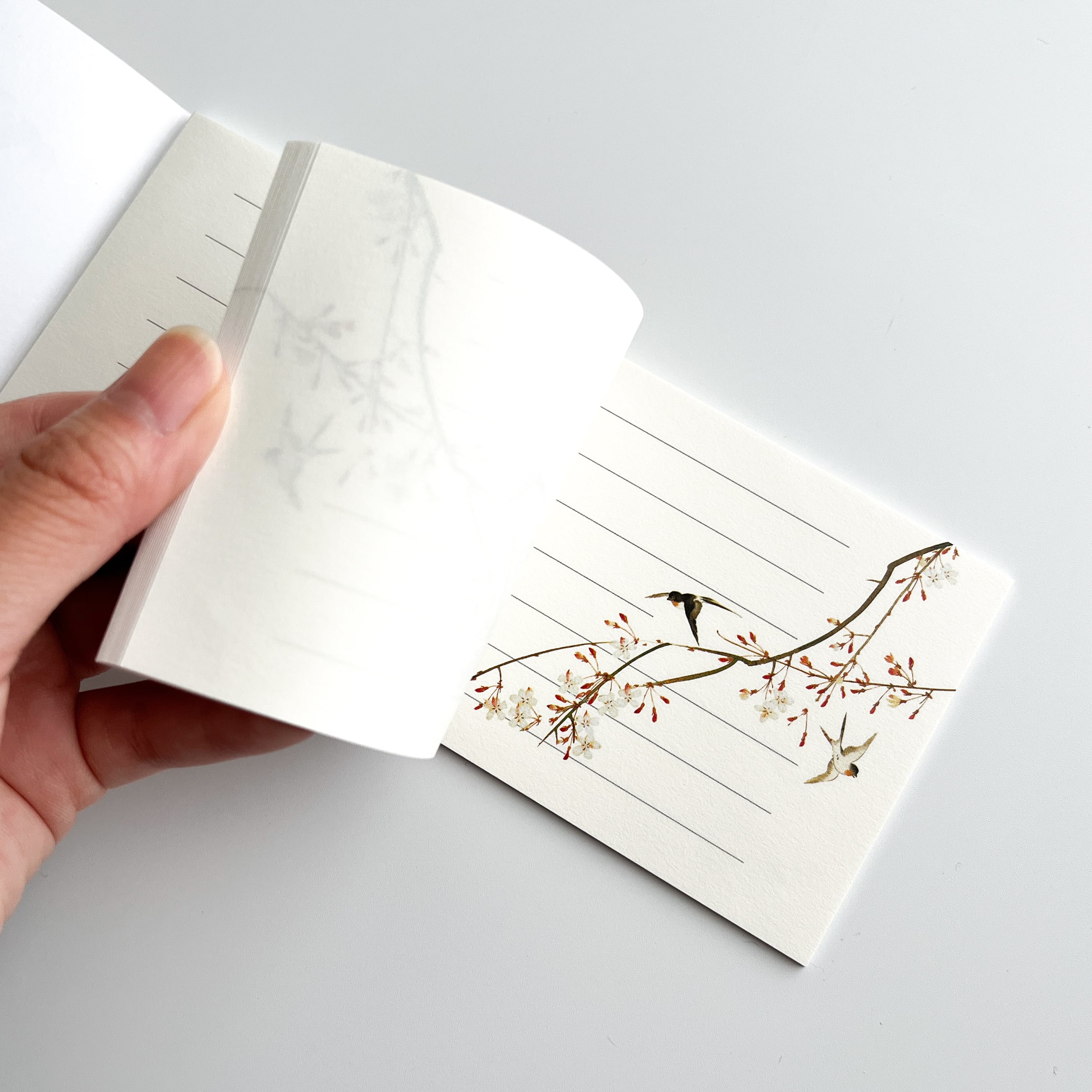酒井抱一 一筆箋 四季花鳥図巻 | hmm, by 東京都美術館ミュージアム