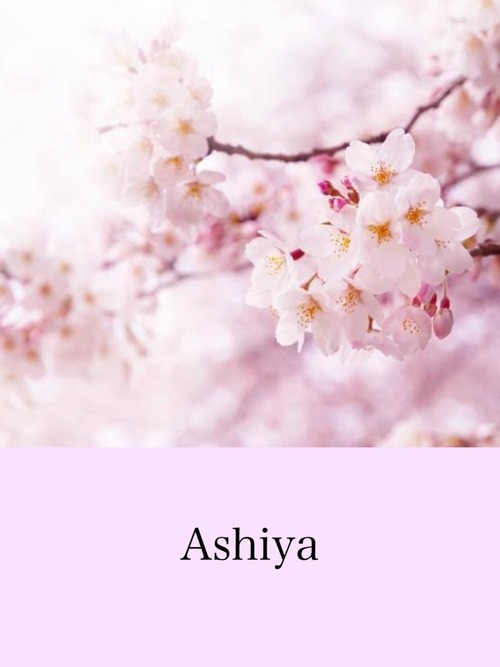 Ashiya 20TB缶