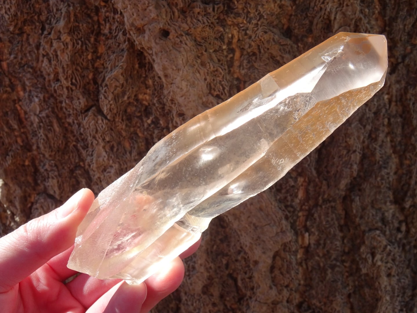 レムリアンシード「グレートサン」~ Master of the Lemurian Sun