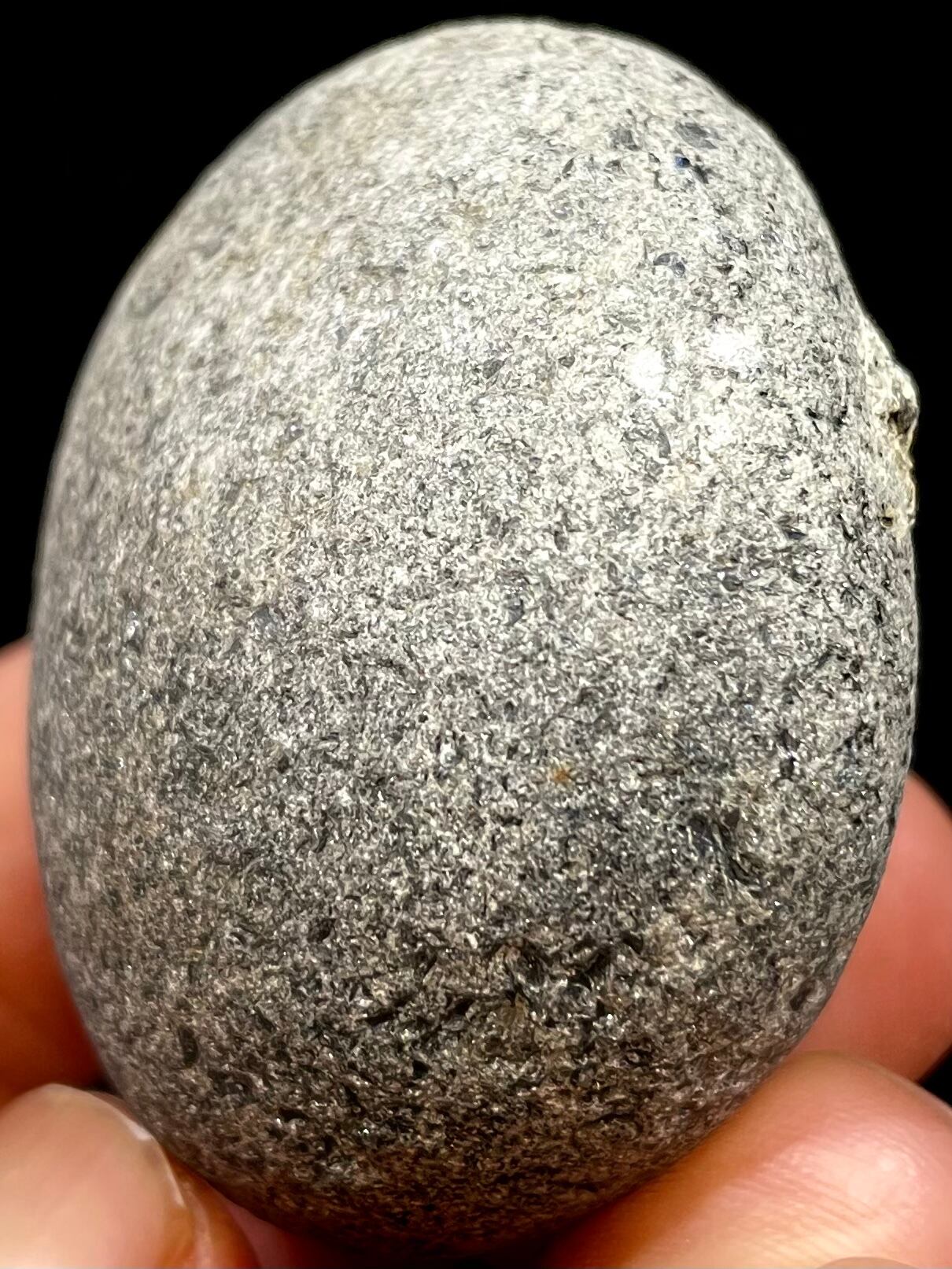 23) 神聖「神威の魂(カムイノタマシイ)」