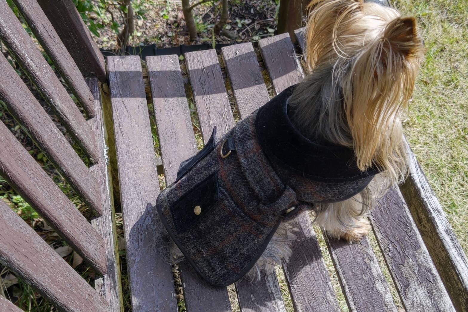 セミオーダーハリスツィード使用小型犬用服