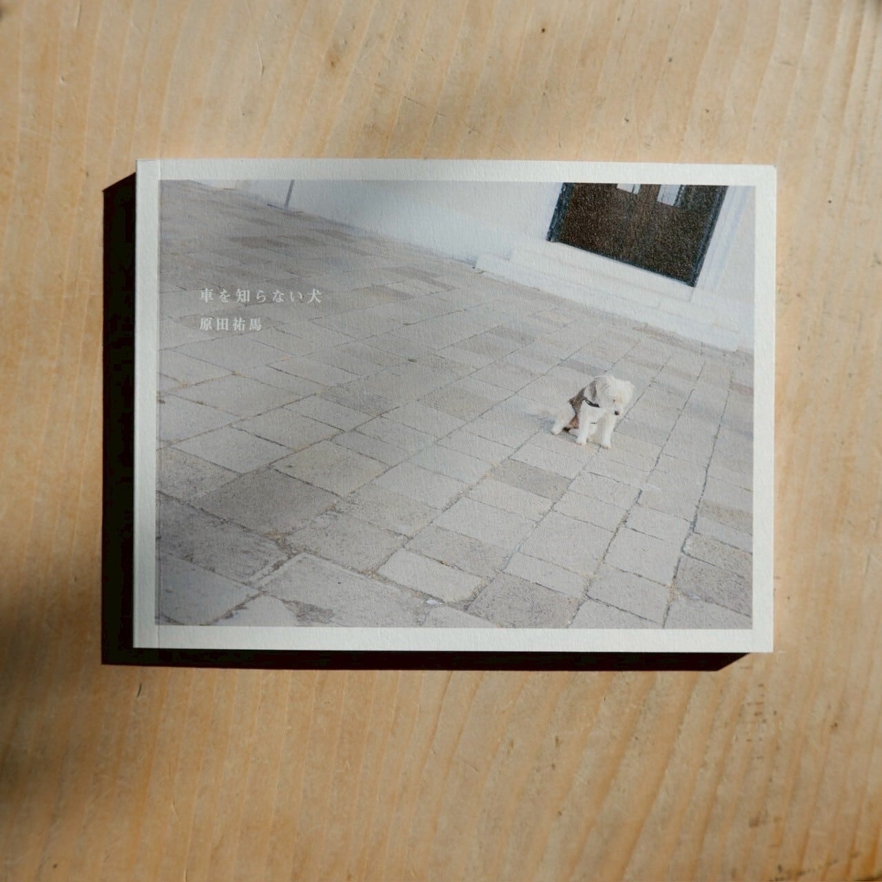 LOG -ビジョイ・ジェイン/スタジオ・ムンバイの建築- | logonomichi