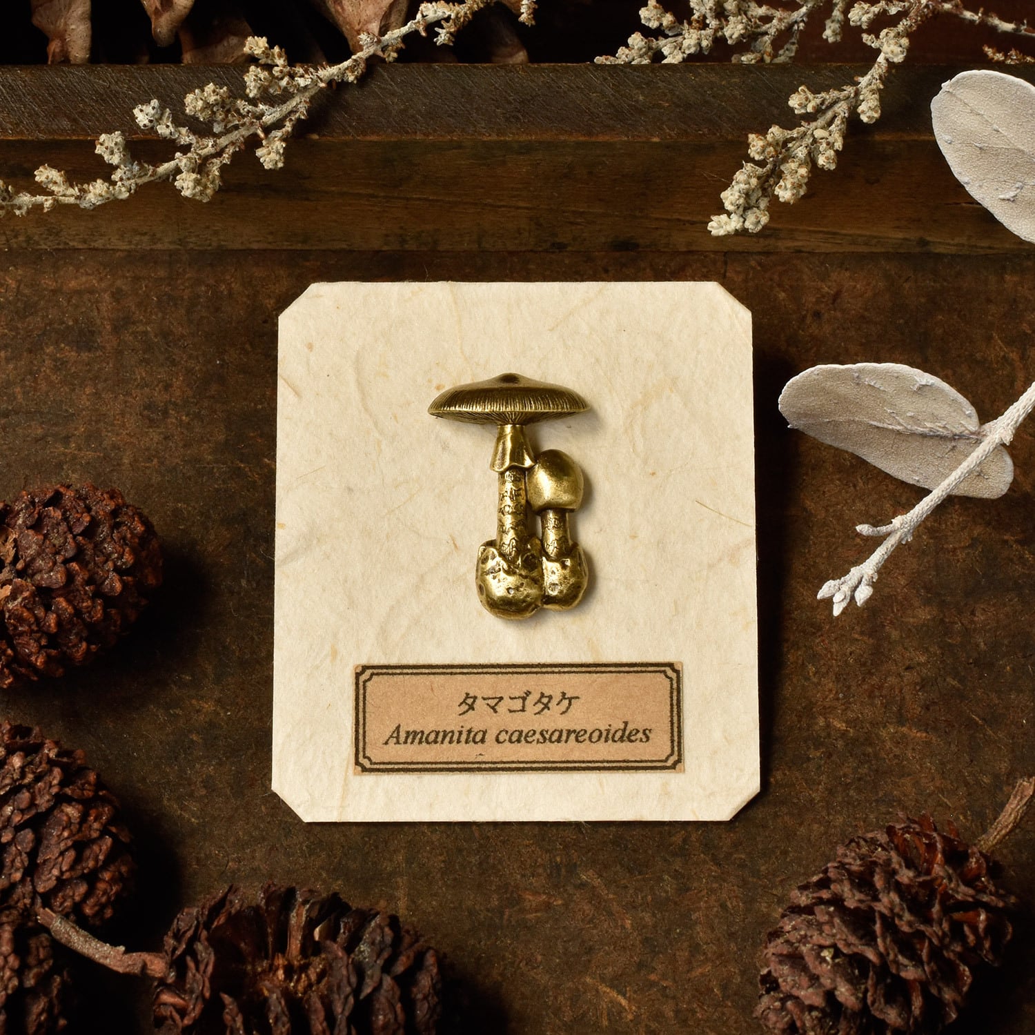 ピンバッジ・ブローチ | kinoko-mono