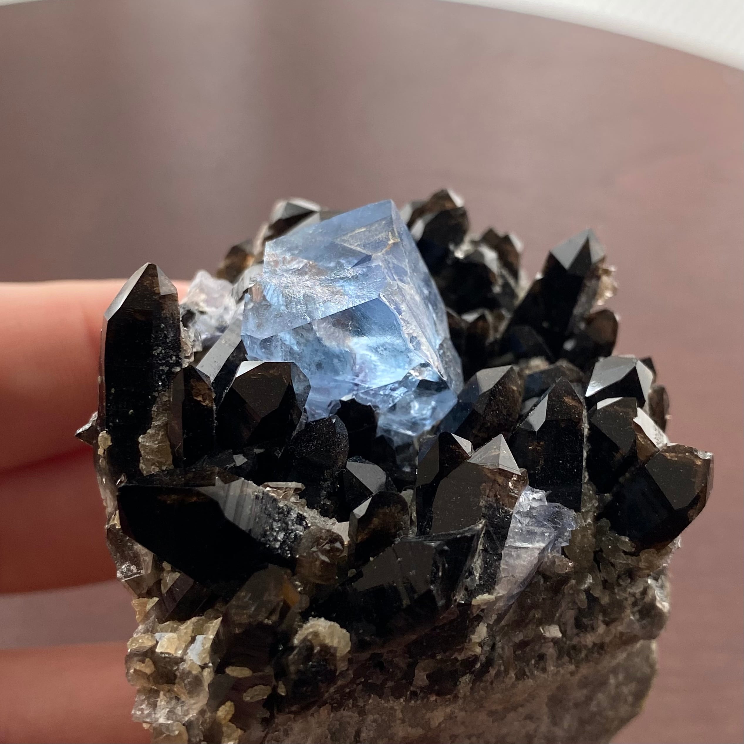 フローライト / スモーキークォーツ【Fluorite on Smoky Quartz