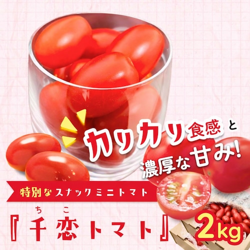 スナックトマト「千恋(ちこ)トマト」2㎏箱満杯詰【送料込み】