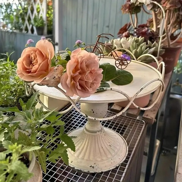 花台 フラワーポット ヨーロピアン エレガント 白 鉄 鳥がとまっているデザイン 軽量 ガーデニング ヴィンテージ調 ガーデンデコレーション 4-7