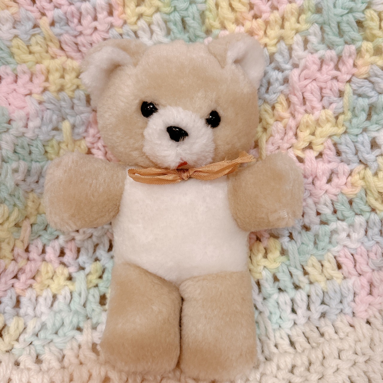 bearの画像01