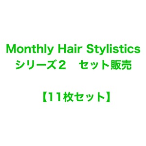 "Monthly Hair Stylistics シリーズ2" 11枚セット