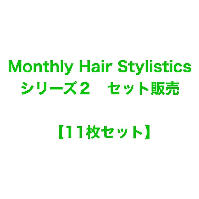 "Monthly Hair Stylistics シリーズ2" 11枚セット