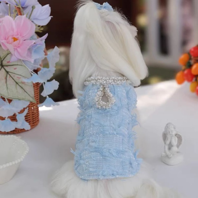 スカイブルーのレディスーツ　犬服　01092